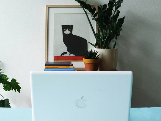 Achter een opengeklapte witte MacBook staat een kastje met een stapeltje boeken, twee planten en
                een ingelijste poster van een zwarte kat